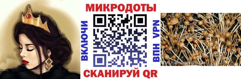 Псилоцибиновые грибы ЛСД  Снежногорск 